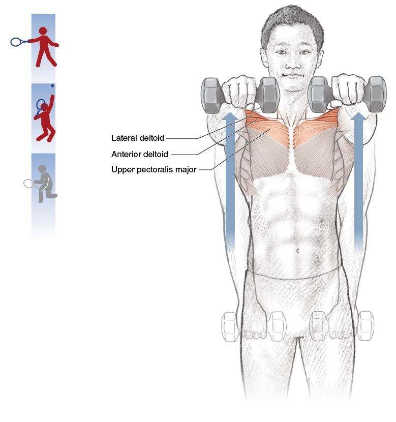 Subacromial space anatomy