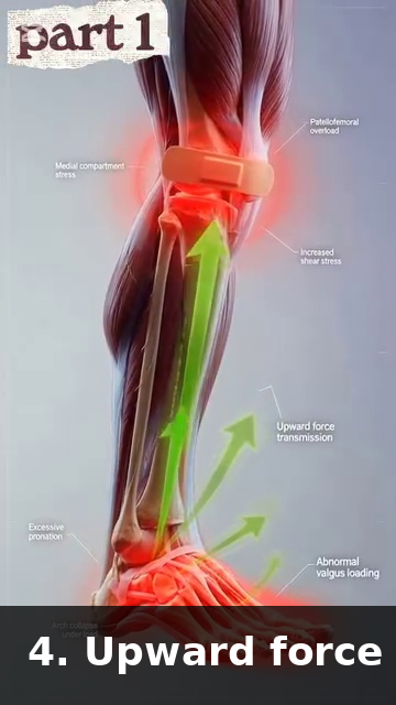 Walking posture - hip hinge preserved