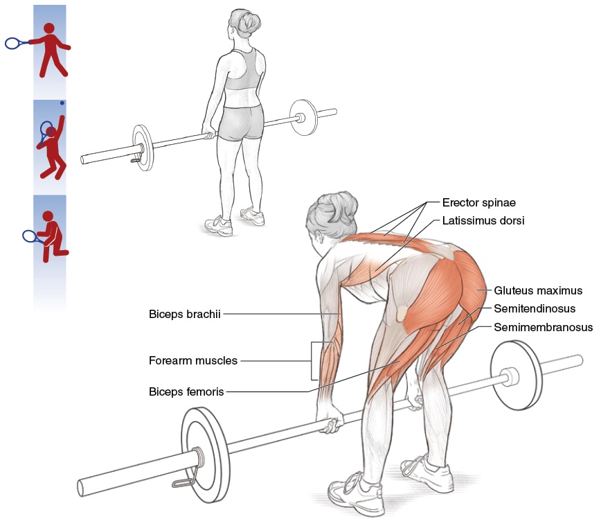 Eccentric squat form