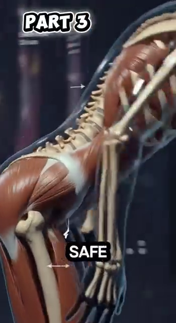 DD1 player in motion 03