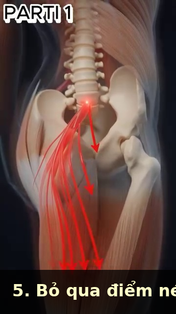 Giai Phau Anatomy Tennis  img04