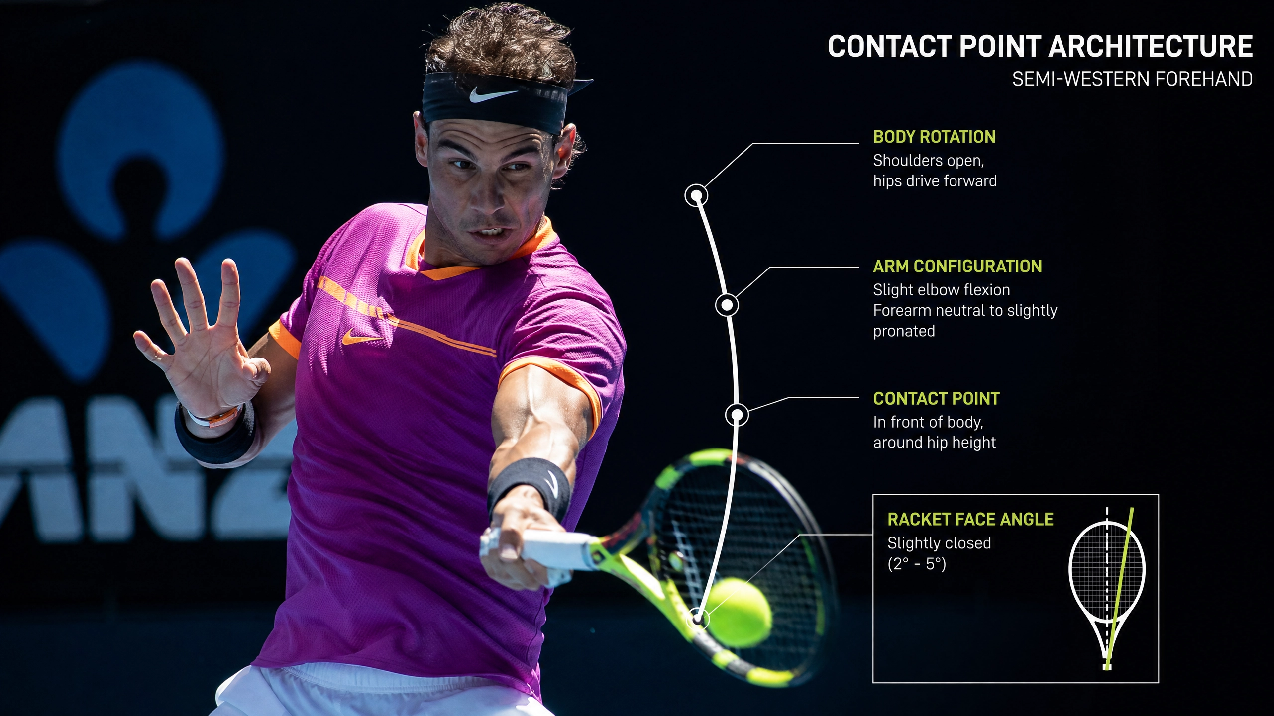 Ball Tracking: Biomechanics & Neural Processing