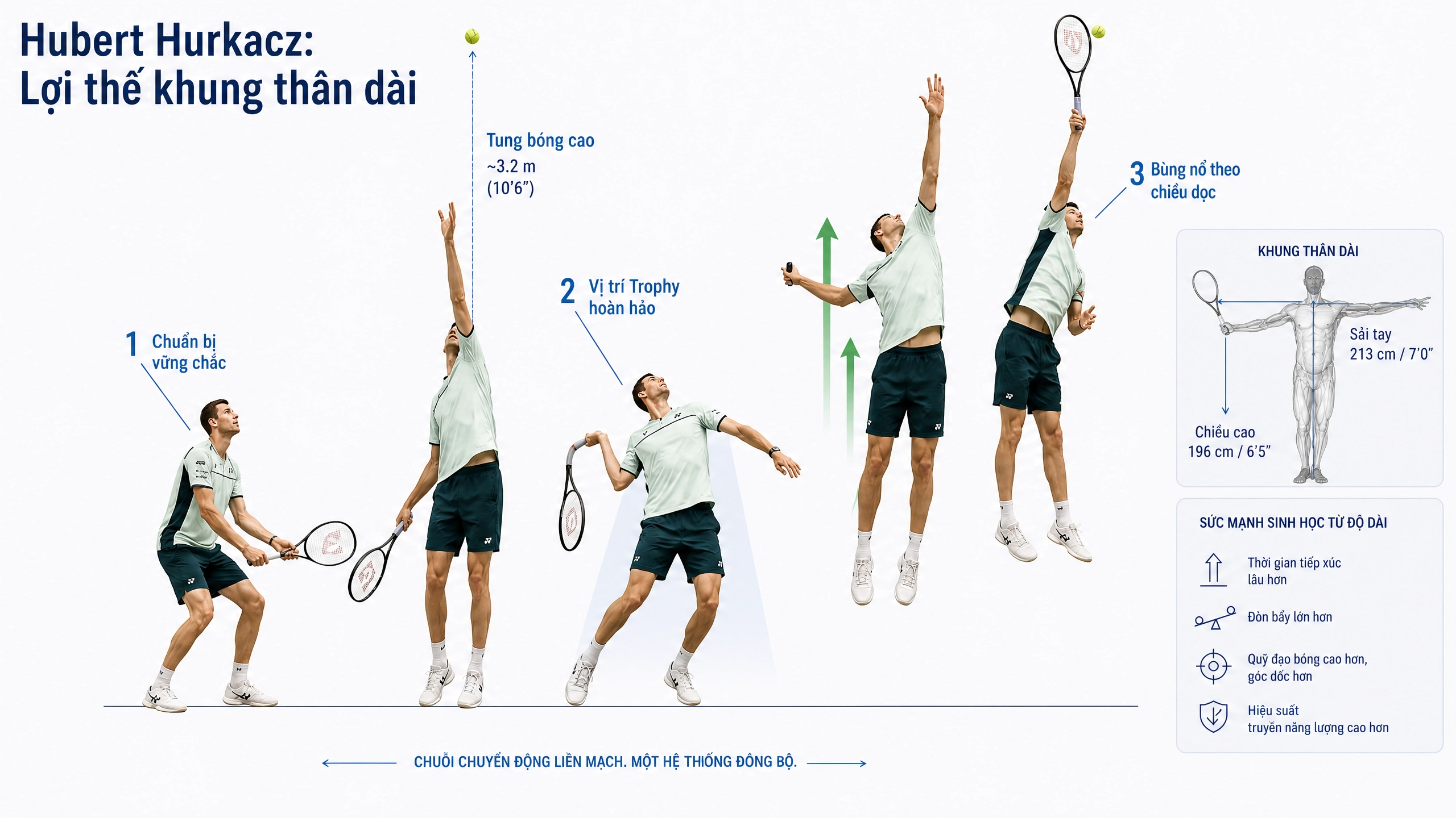 Serve - Controlled falling (kinetic chain)